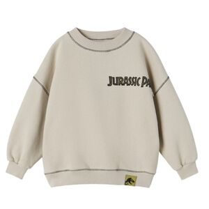 Zara Cream Jurassic Park Sweatshirt